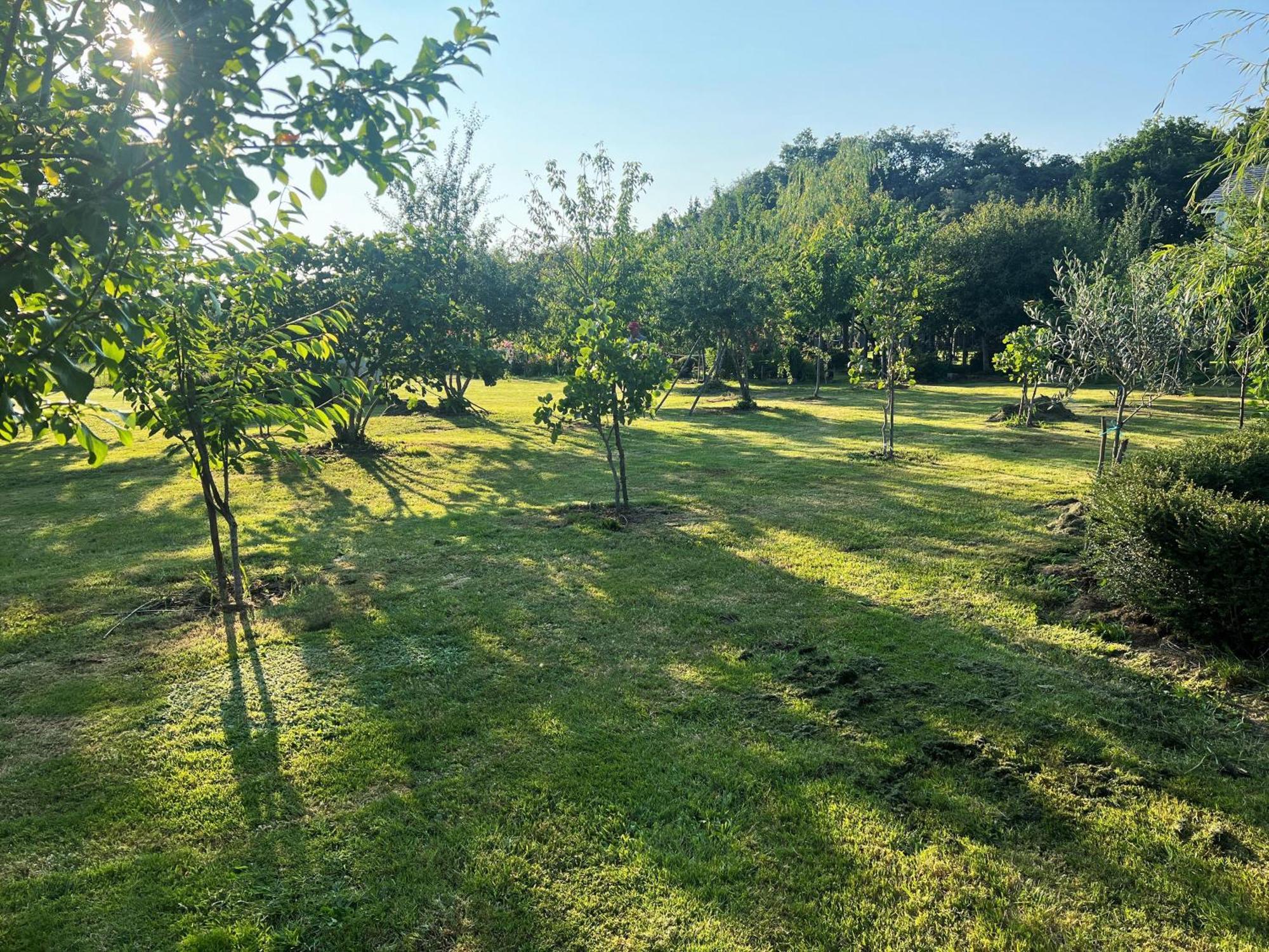 Villa Albaredo Villameá エクステリア 写真