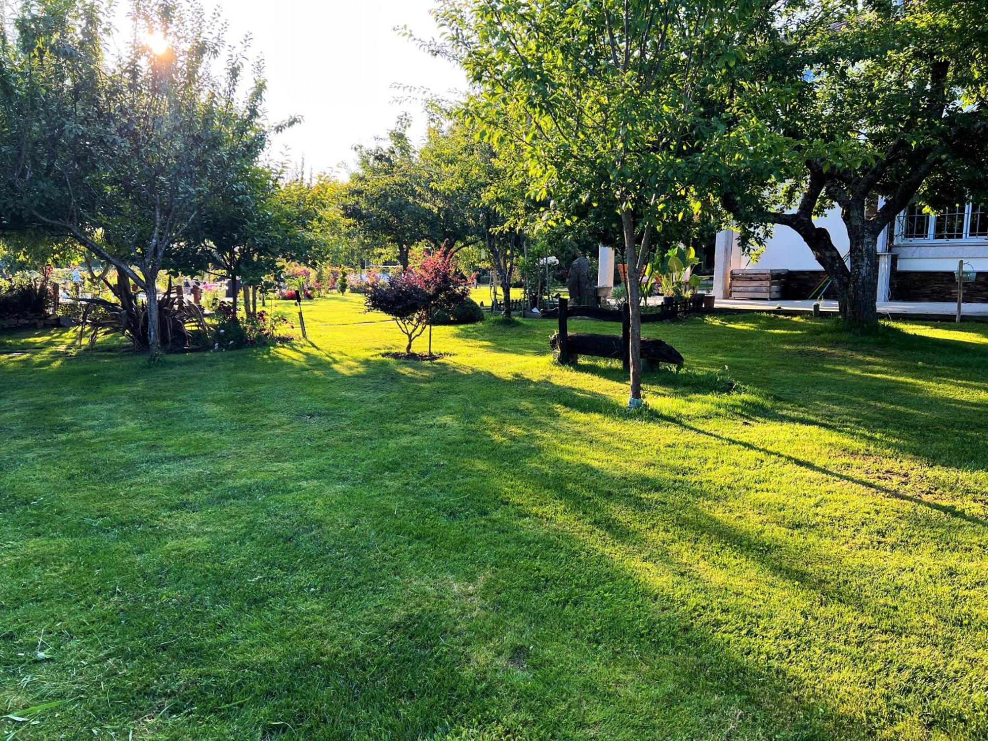 Villa Albaredo Villameá エクステリア 写真