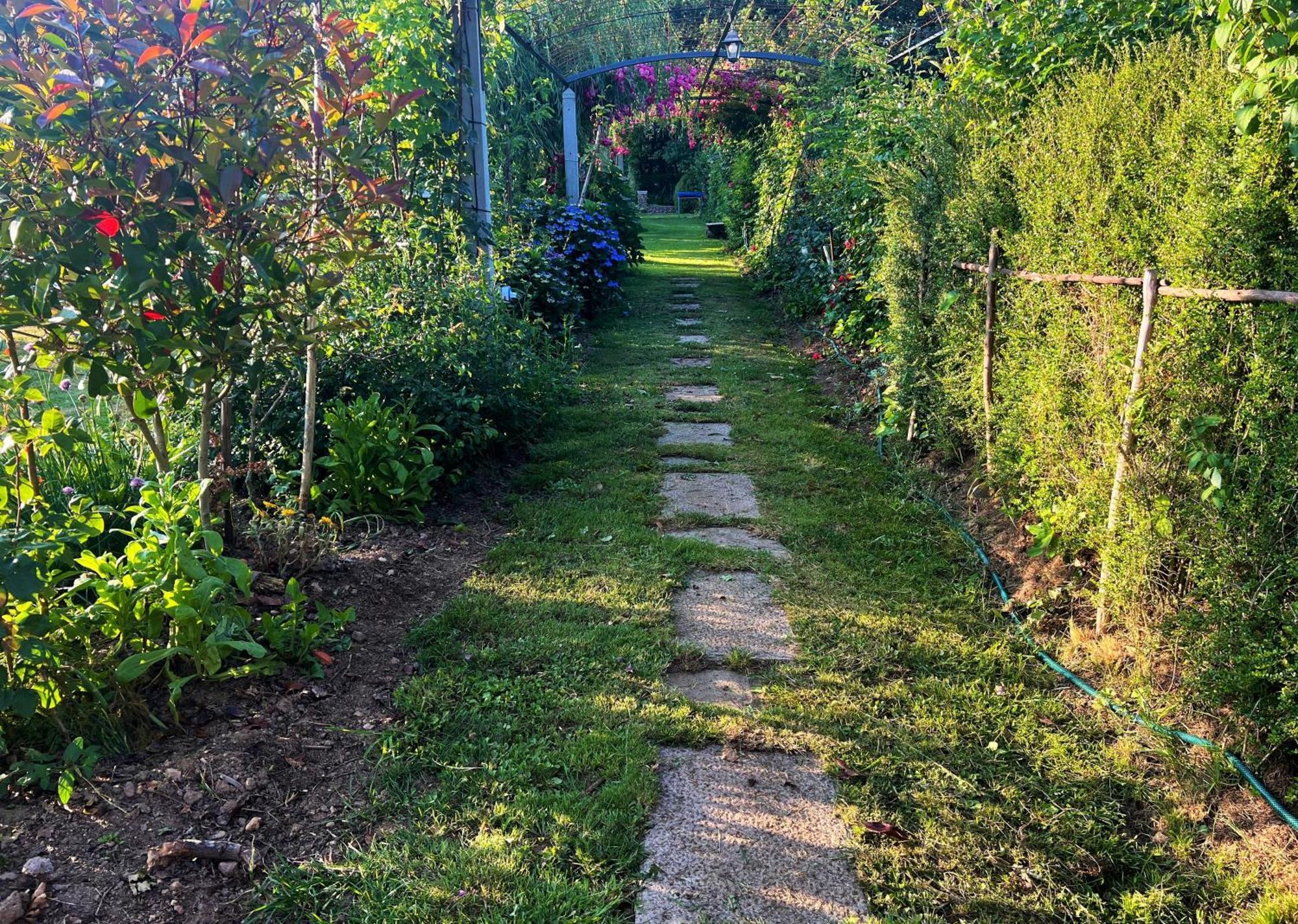 Villa Albaredo Villameá エクステリア 写真